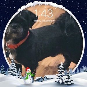 Meet your Posher, Frances